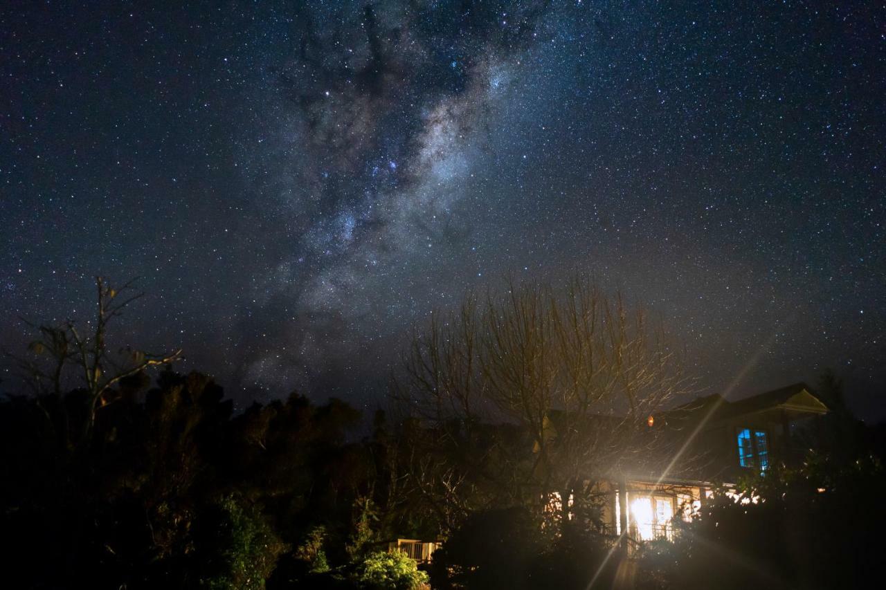 Georges Bnb Nature And Lifestyle Retreat 新普利茅斯 外观 照片